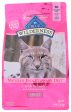 BLUE BUFFALO: Wilderness Adult Cat Food Salmon Recipe, 4 lb Sale