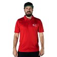 Sports Polo Online