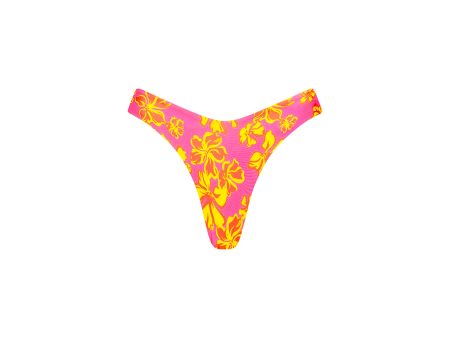 Y Cheeky Bikini Bottom - Pitaya Maya Hot on Sale